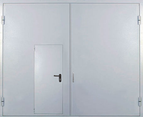 Дверь однопольная