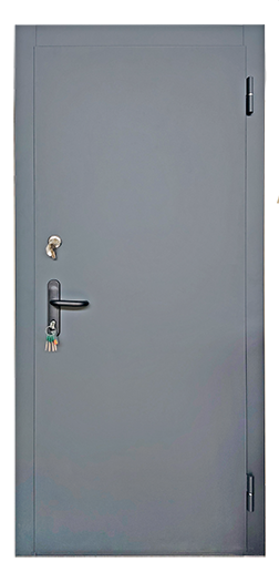 Дверь однопольная